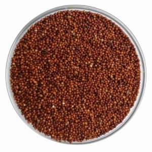 Finger Millet (Ragi / Nachni)