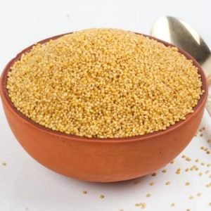 Foxtail Millet (Korra / Kangni)