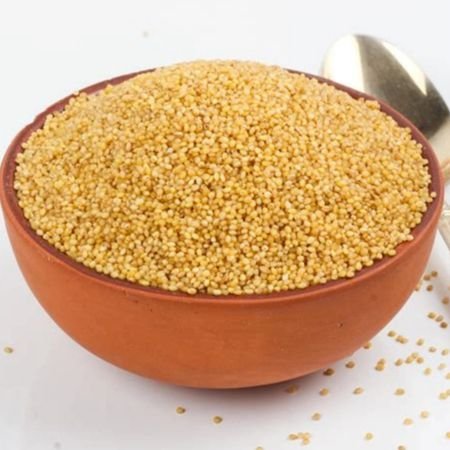 Foxtail Millet (Korra / Kangni)
