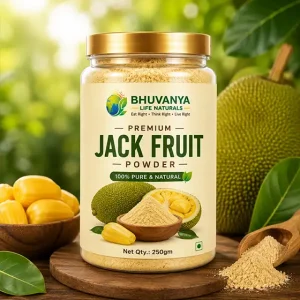 Premium Jack Fruit Powder