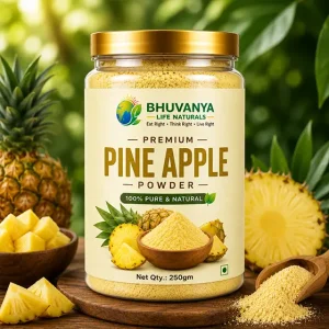 Premium Pine Apple Powder