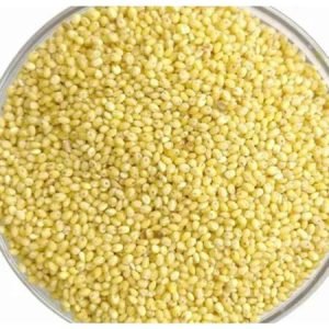 Proso Millet (Variga / Barri)