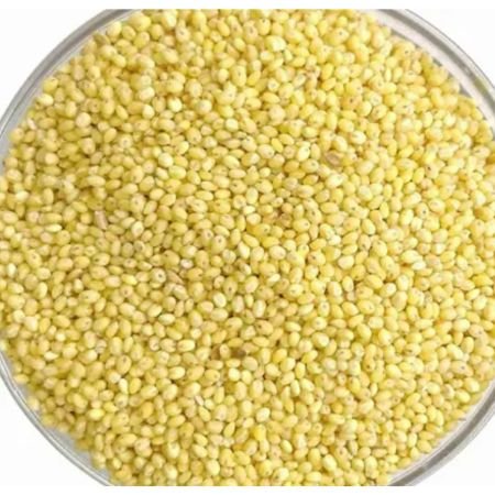 Proso Millet (Variga / Barri)