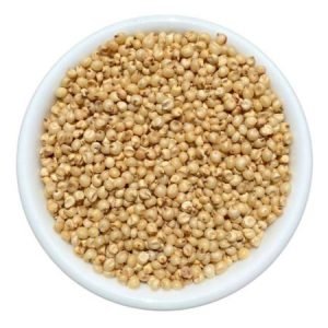 Sorghum (Jowar / Jonna)