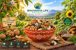 Premium Dry Fruit Mix – Premium Mixed Nuts & Dried Fruits