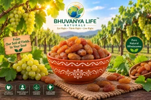 Premium Golden Kishmish – Premium Golden Raisins