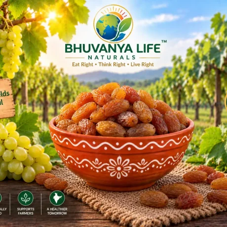 Premium Golden Kishmish – Premium Golden Raisins